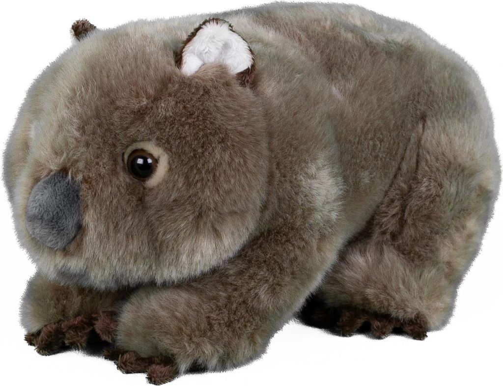 A plush toy wombat is shown against a white background.