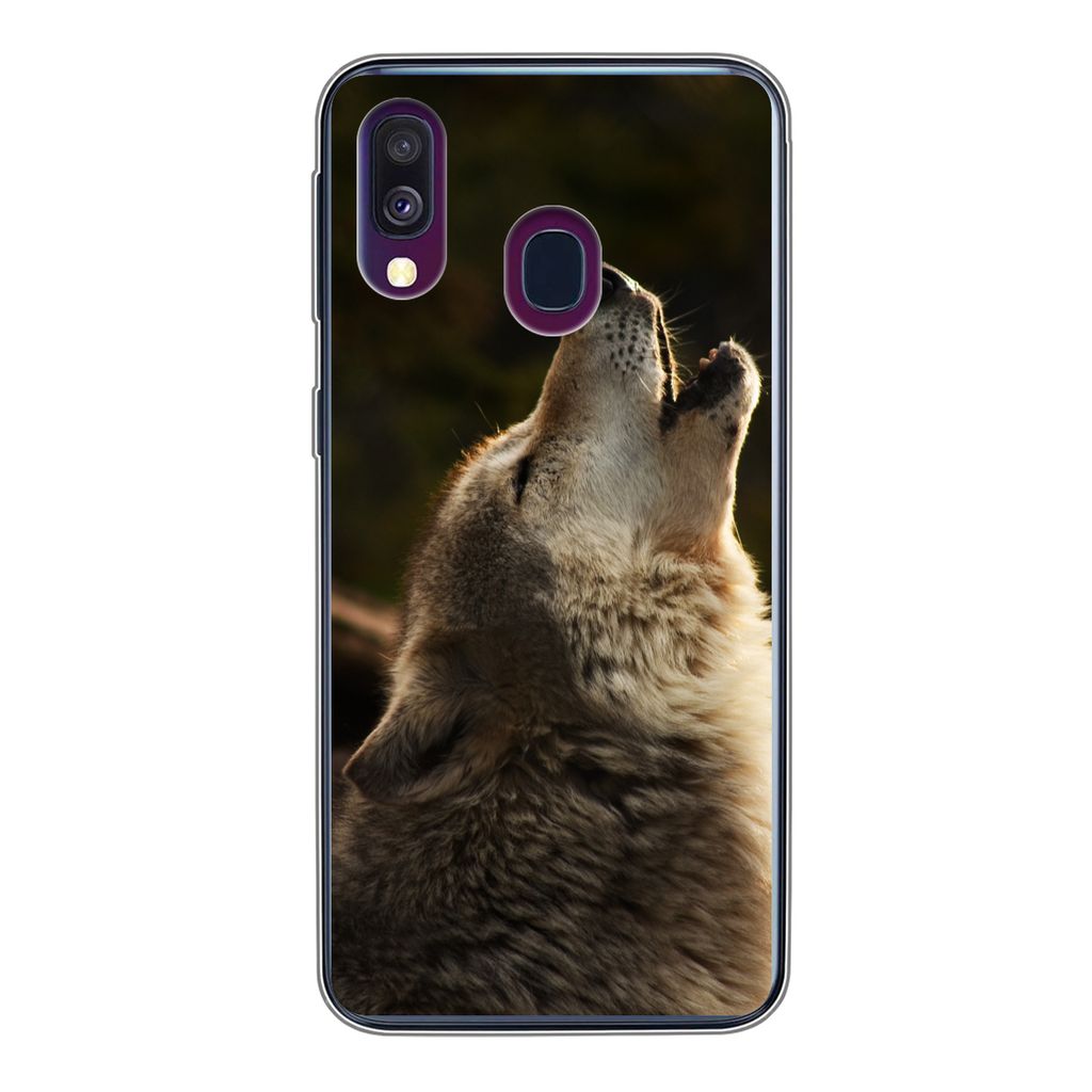 MuchoWow Handyhülle Schutzhülle Hülle für Samsung Galaxy A40 Wolf - Grau - Tiere Silikon Softcase Handy Hülle - Handy-Tasche