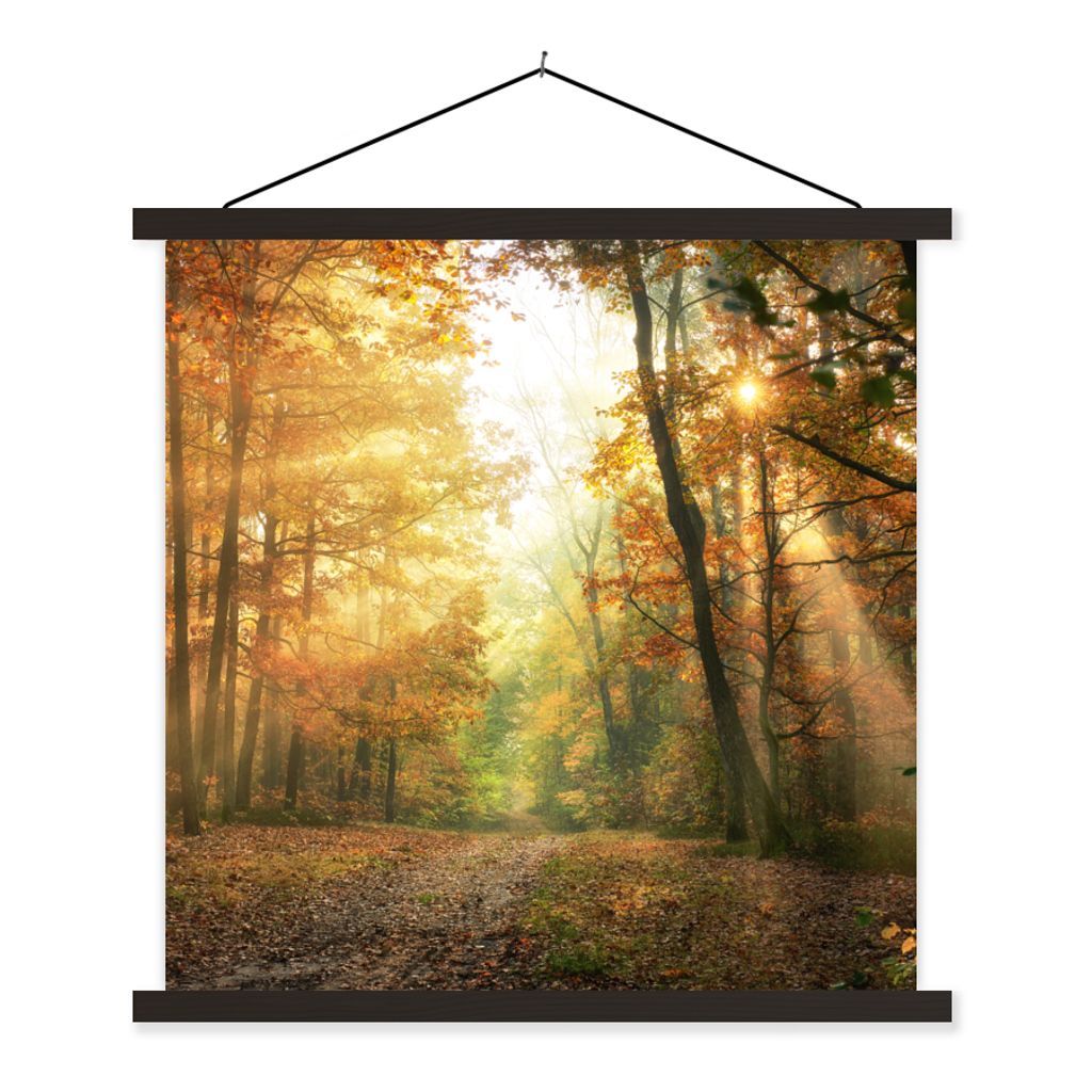 MuchoWow Textilposter Wald - Herbst - Sonne - Landschaft - Natur - Bäume - Laub 90x90 cm mit schwarzem Rahmen - Magnetisches