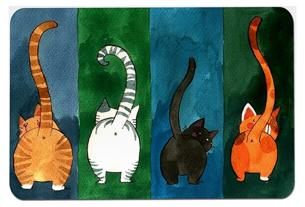 Fußmatte mit Katzenmuster, rutschfeste Matte für Innen- und Außenbereich, Badezimmer (40 * 60 cm)