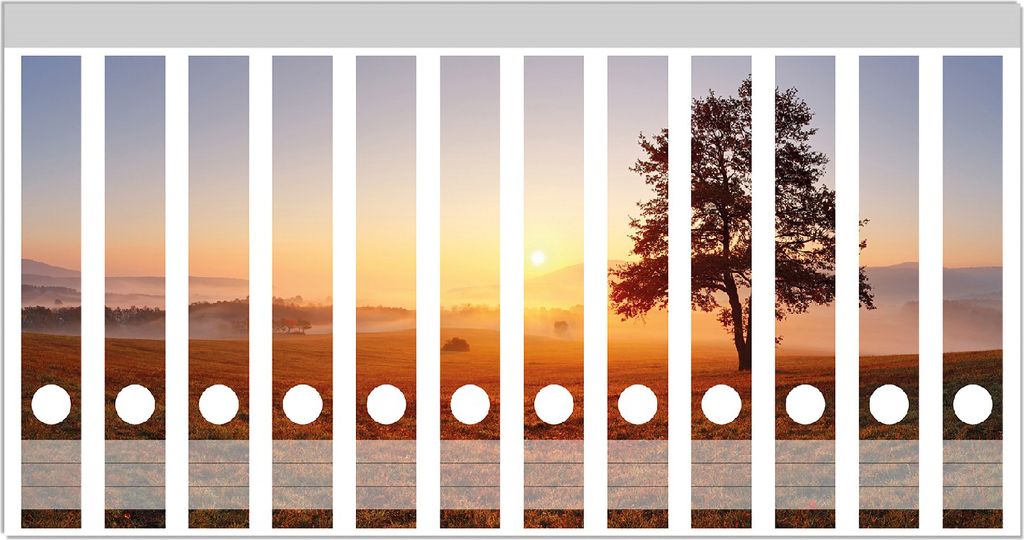 Wallario Ordnerrücken Sticker, selbstklebend für schmale Ordner, 12 Stück, Motiv Sonnenaufgang über der Wiese mit Nebel