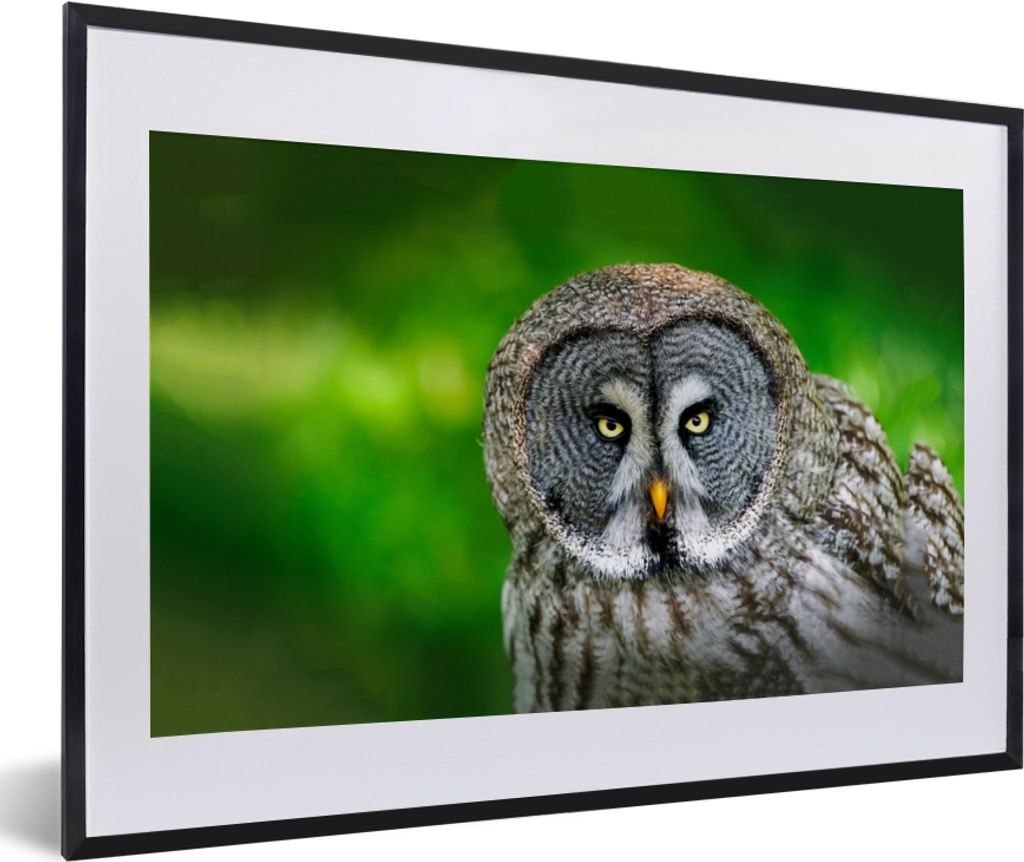 MuchoWow Gerahmtes Poster Vogel - Eule - Tiere - Braun - Porträt 60x40 cm - Poster mit Schwarzem Bilderrahmen Wandposter Rahmen Foto Bilder - Sc...
