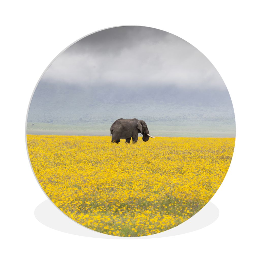 MuchoWow Rundes Wandbild - Runde Bilder Elefant - Blumen - Natur - Gelb - Tiere Ø 90 cm Kreis Wanddekoration Kunststoff - Wandkreis - Wandschmuc...