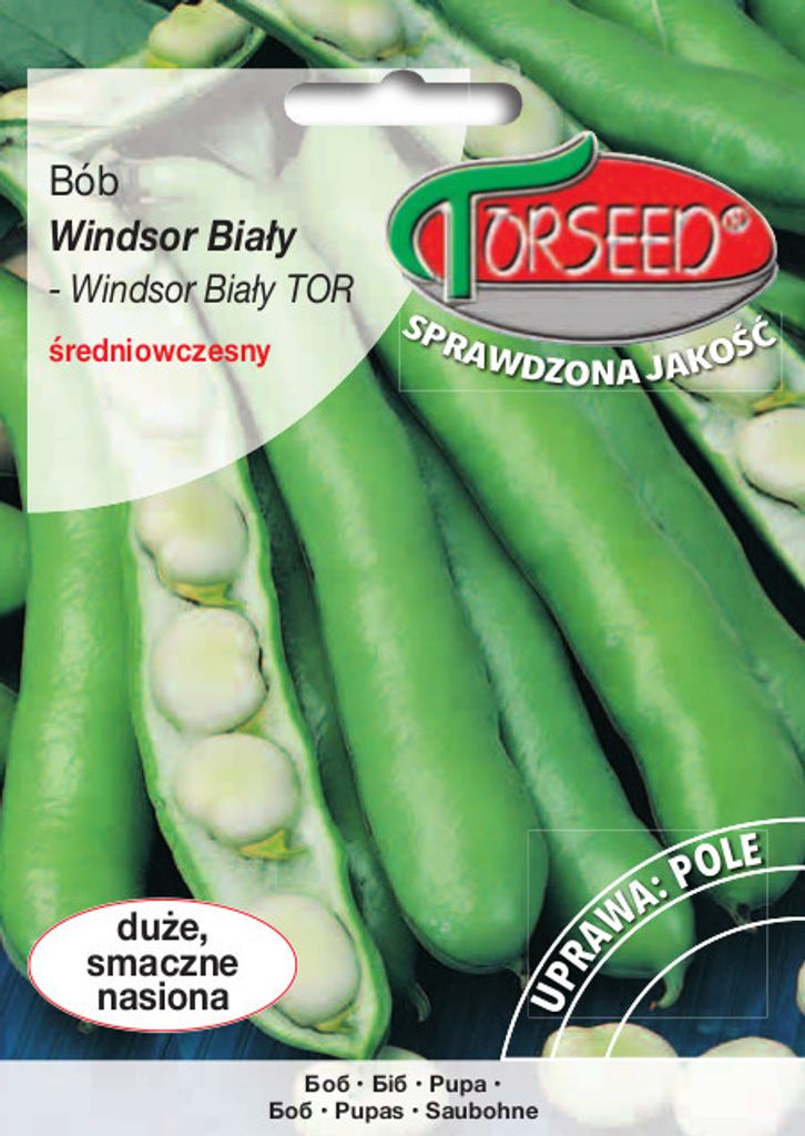 Seeds of Windsor White TOR Puffbohnen 50g - Torseed Produktbild 