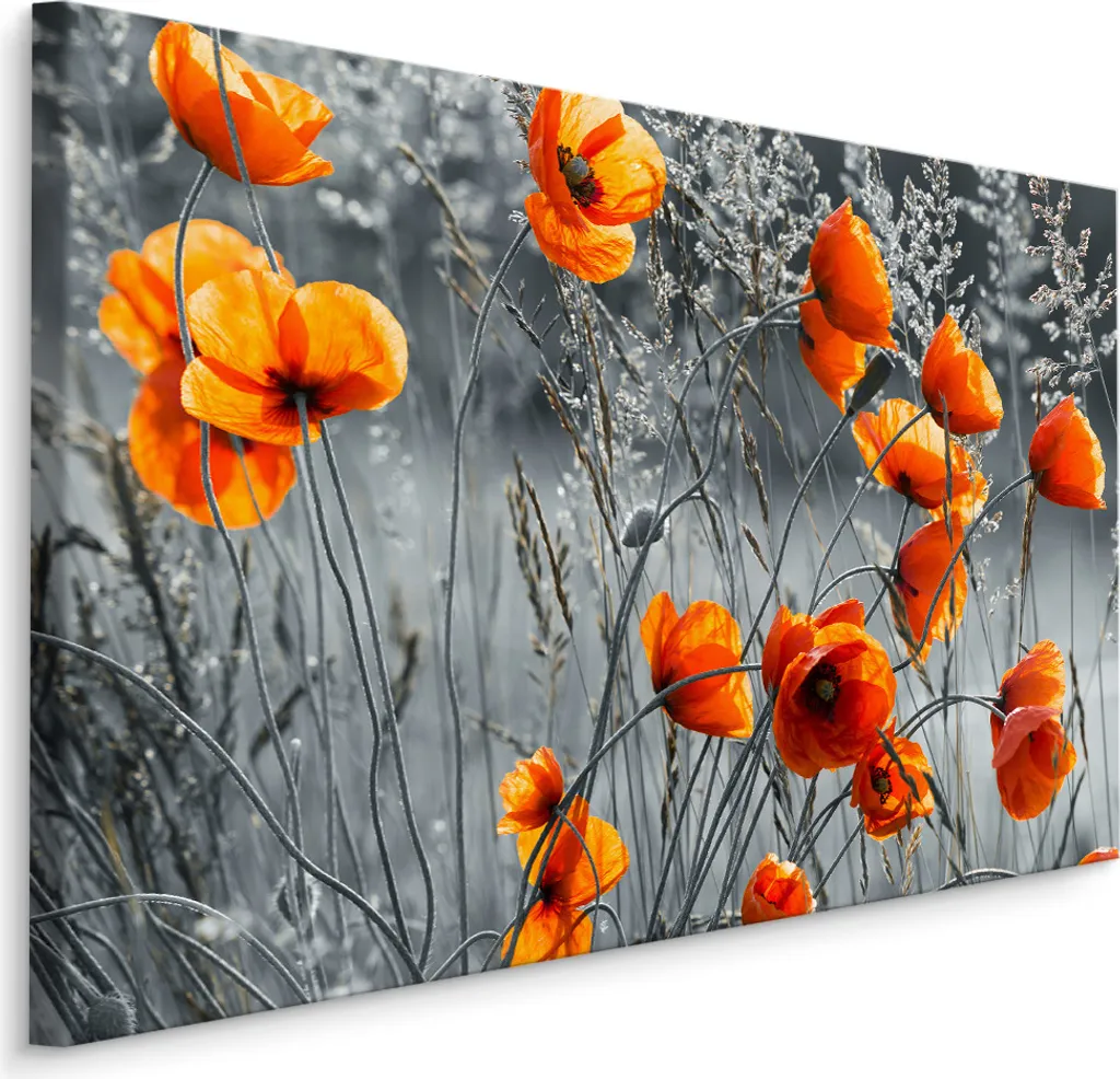 Favolosa tela PICTURES 120x80 cm XXL stampa d'arte natura fiori papaveri