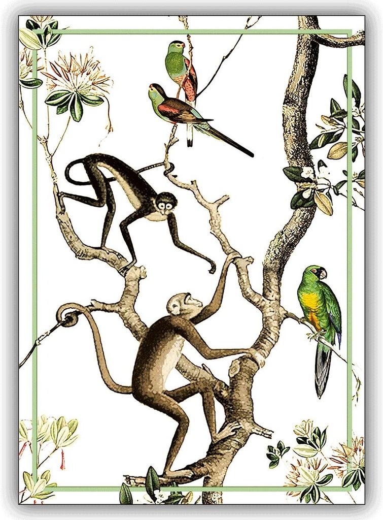 Tier Klappkarte, Grußkarte mit Affen und Papageien, DIN A6 gefaltet, inkl. Umschlag - schöne Klappkarte für Freunde Familie