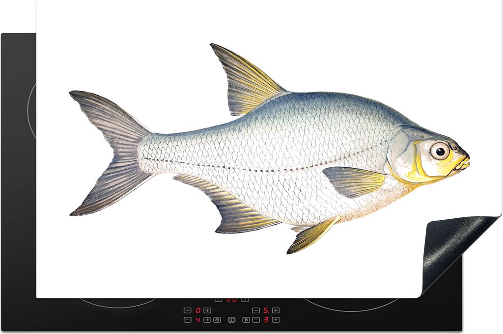 KitchenYeah Herdabdeckplatte Fisch - Kolonie Realismus , 81x52cm, Küche Deko, Glaskeramikkochfeld Herdabdeckung, Abdeckplatte fùr Kochfeld