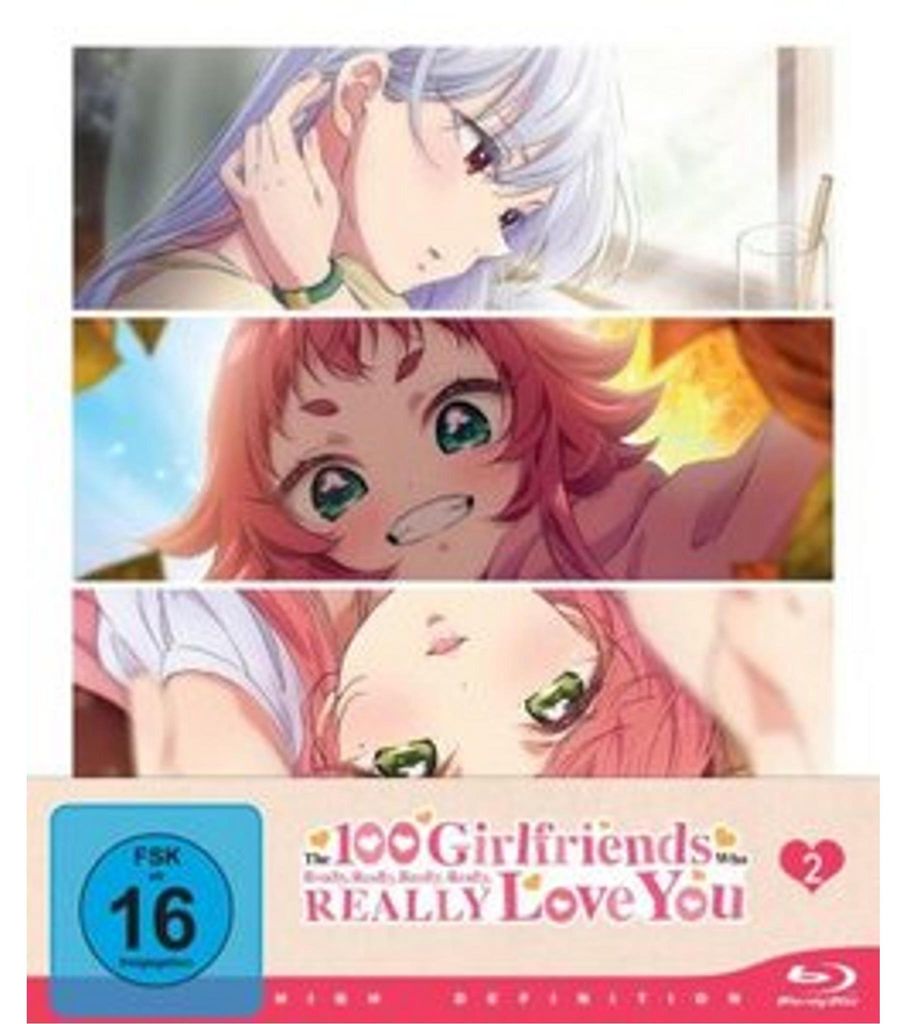 The 100 Girlfriends Who Really Really Really Really REALLY Produktbild 