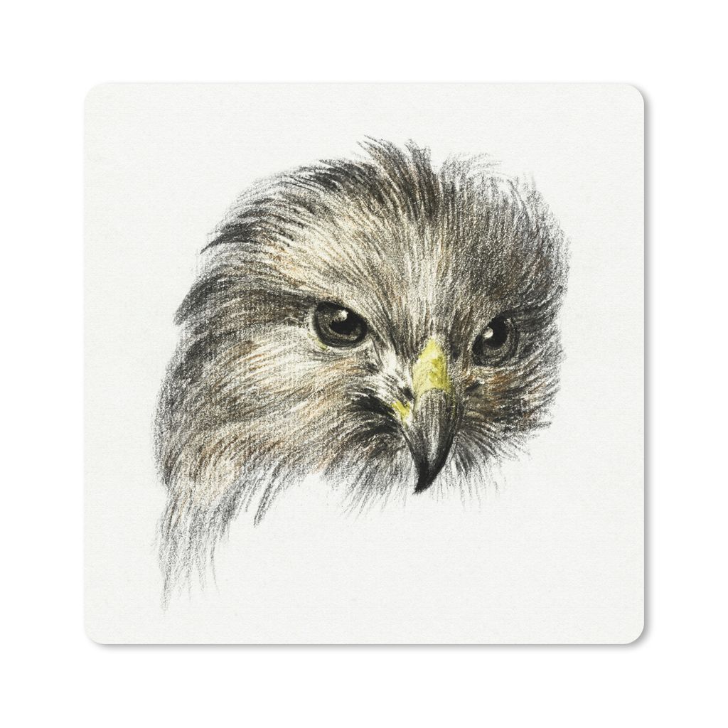 MuchoWow Mauspad Mousepad Kopf eines Raubvogels - Gemälde von Jean Bernard 30x30 cm - Mousepads - Maus Mat - Pad - Mausunterlage - Gaming