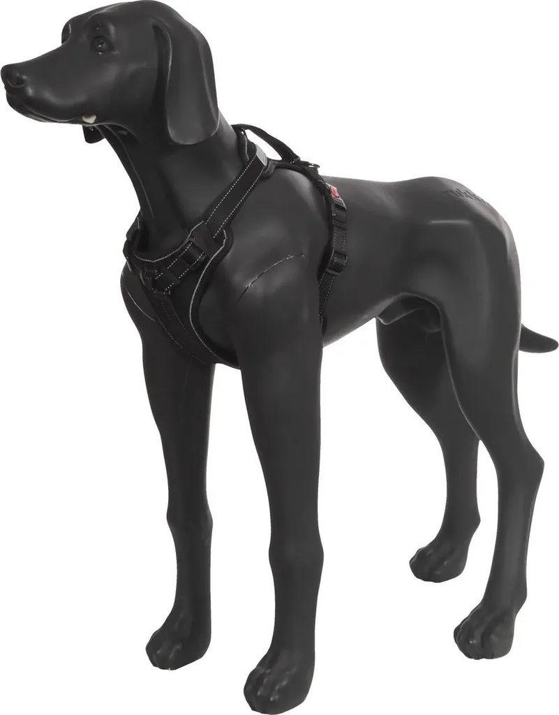 Rukka Pets Solid Harness M Black: Pettorina Tecnica Alta Resistenza - 2