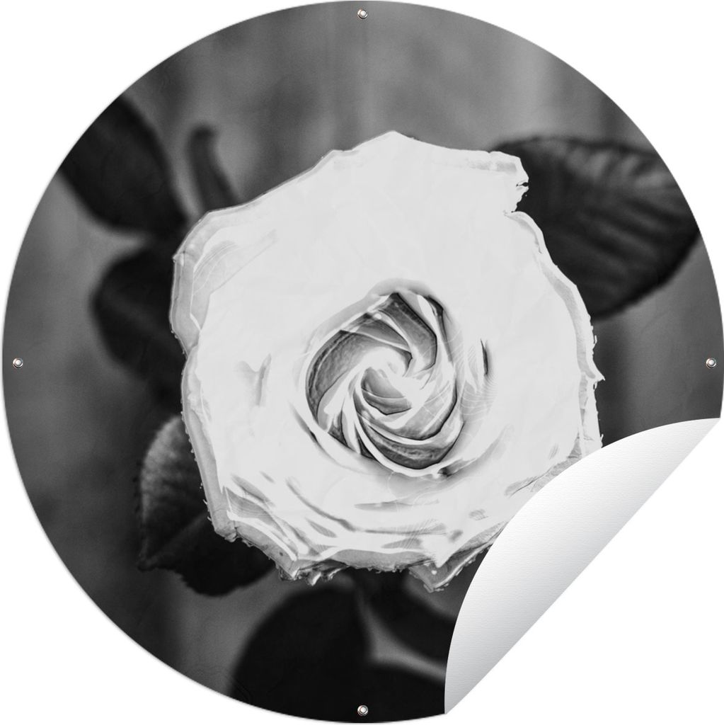 MuchoWow Gartenposter Outdoor-Poster Rund Rose - Blumen - Blätter - Schwarz - Weiß Ø 120 cm Gartendeko Rundes Poster draußen