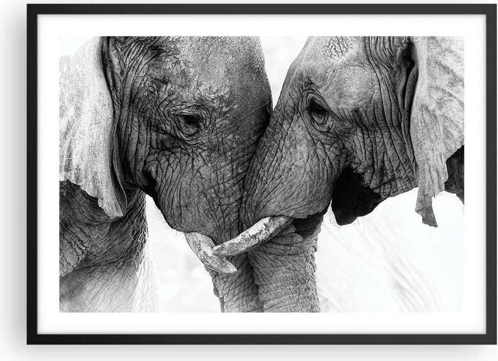 Gerahmtes Poster - Schwarzer Rahmen - Elefanten Safari Bond Produktbild 