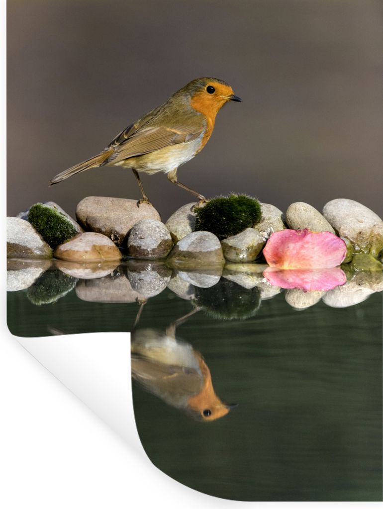 MuchoWow - Sticker - Dekorfolie