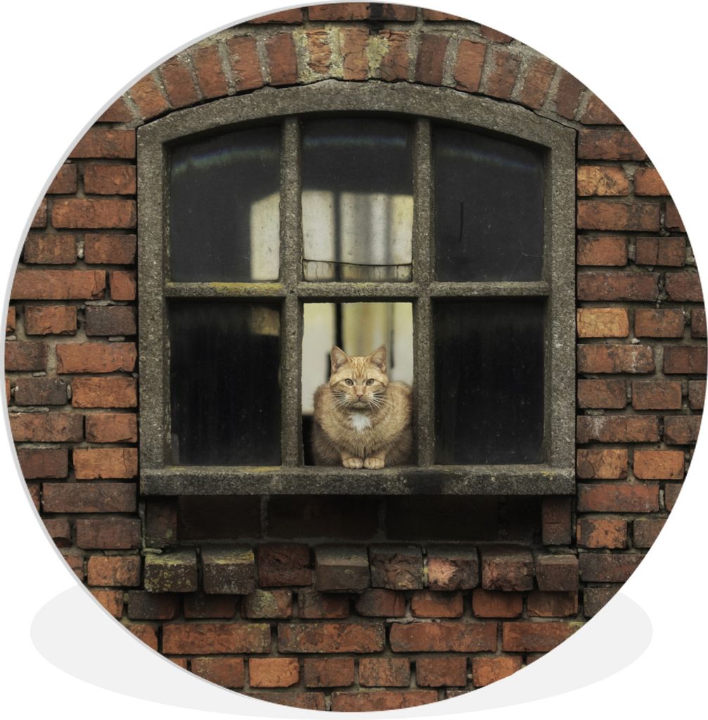 MuchoWow Rundes Wandbild - Runde Bilder Katze - Blumenkasten - Stein Ø 60 cm Kreis Wanddekoration Kunststoff - Wandkreis - Wandschmuck - Wand Kr...