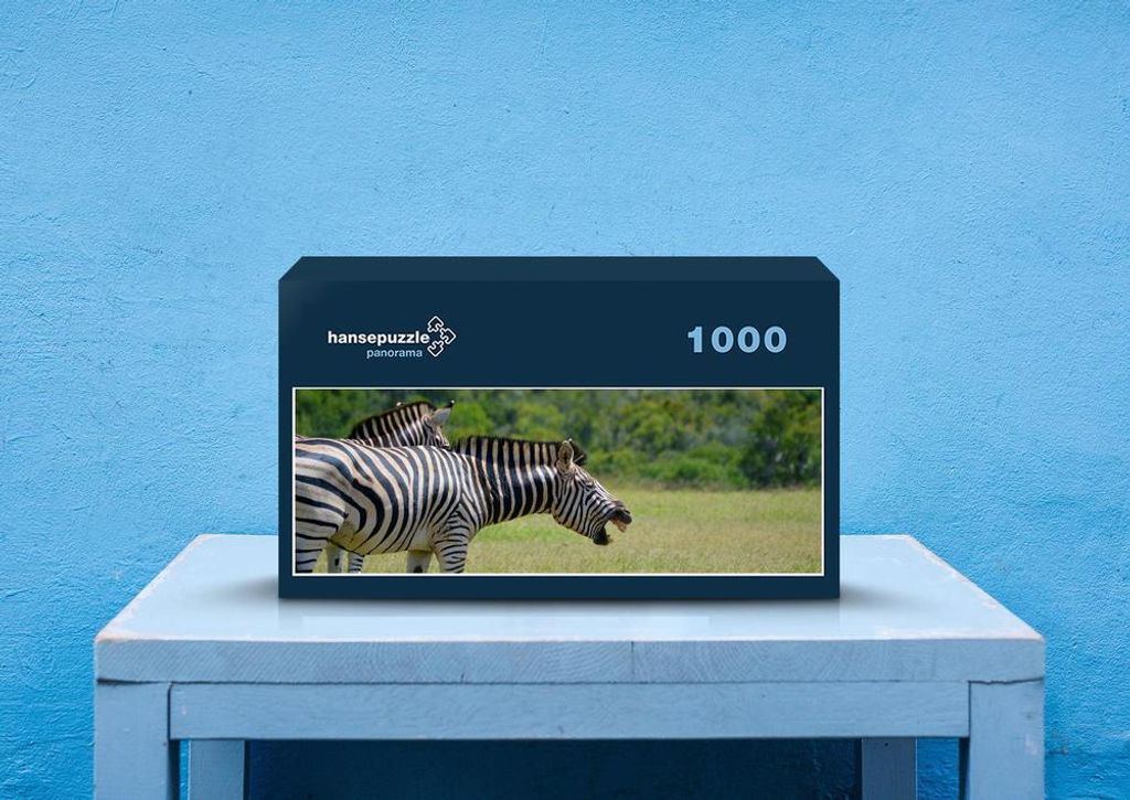 hansepuzzle 70818 - Zebra Puzzle, 1050 Teile, Tierwelt, 60,0 x 46,0cm mit hochwertiger Aufbewahrung, Kartonbox und wiederverschließbarem Beutel