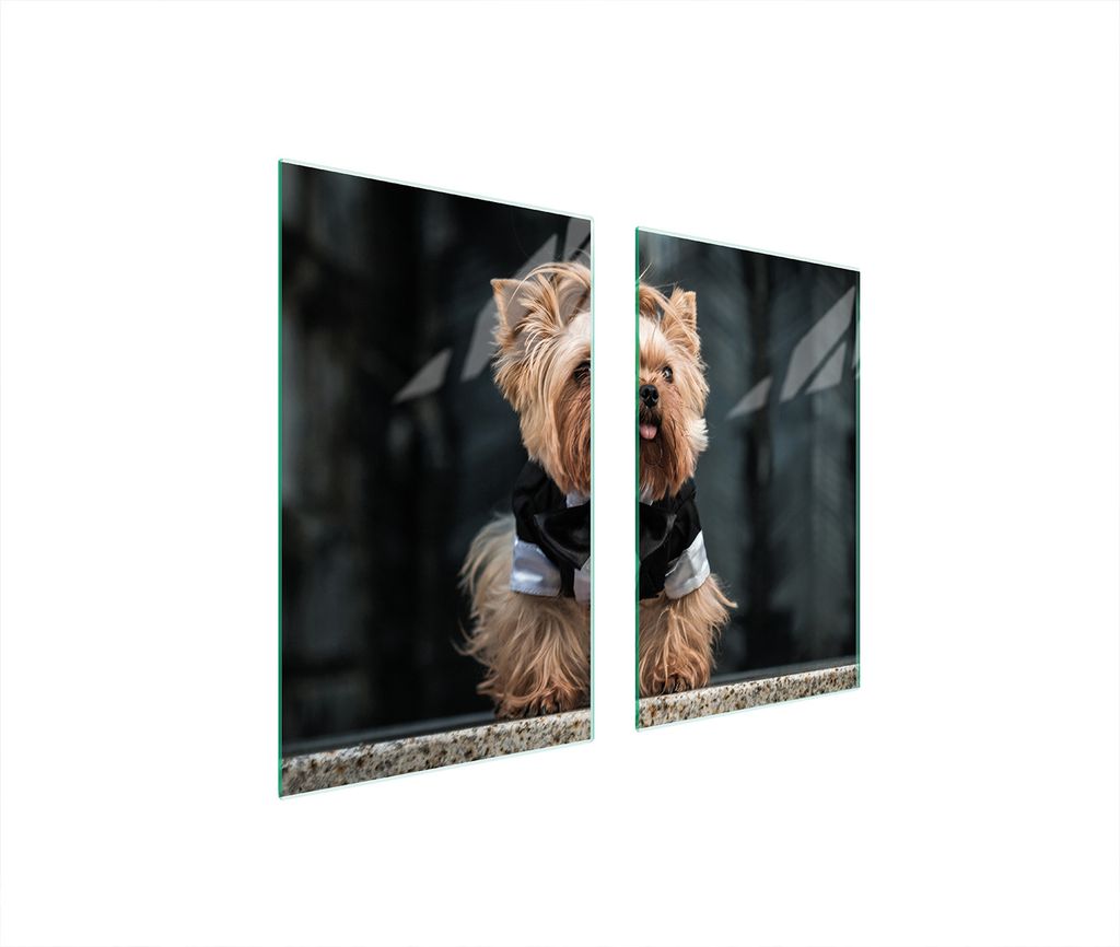 Glasschutzplatte Für Herd 75X52 Hund