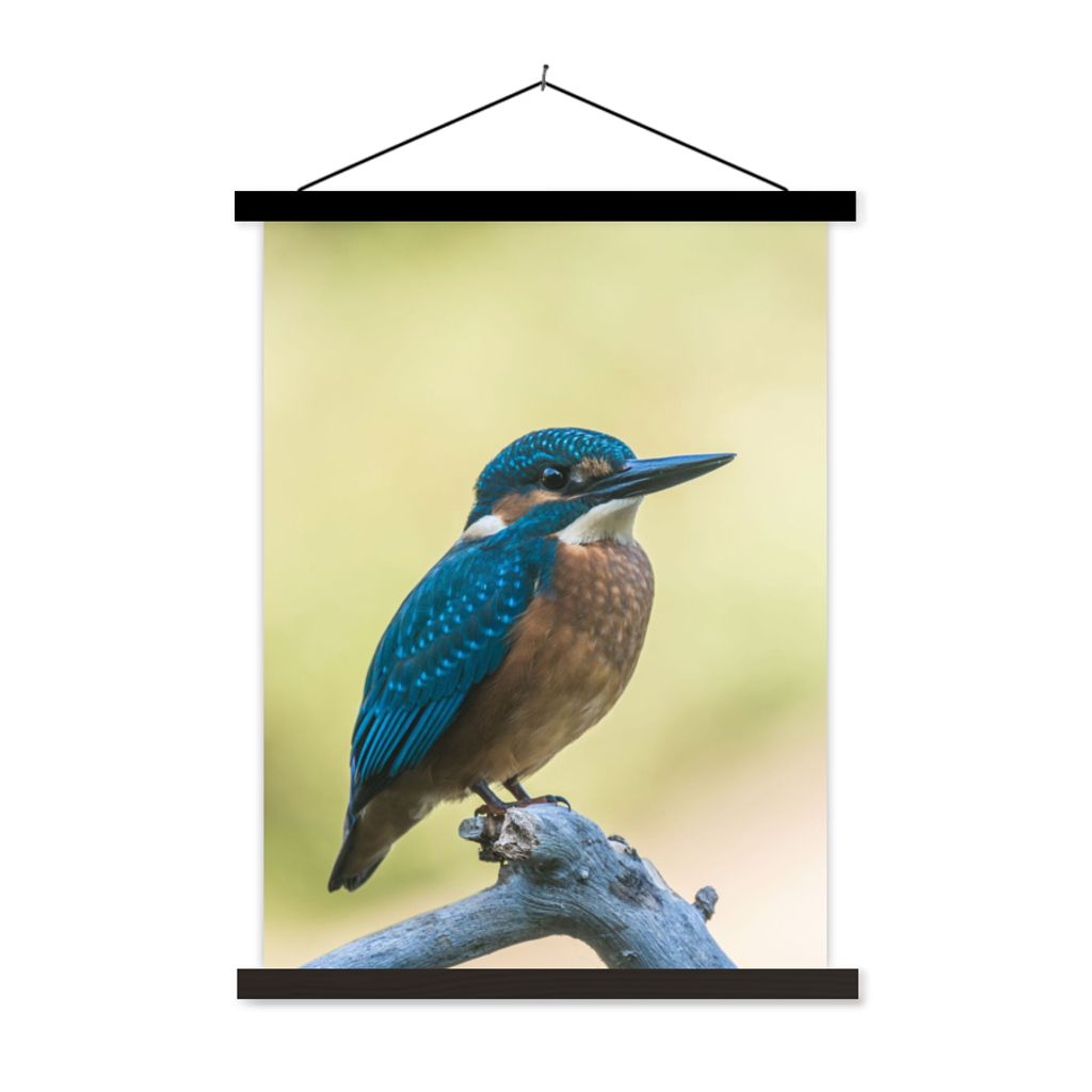 MuchoWow Textilposter Eisvogel - Zweig - Vogel 120x160 cm mit schwarzem Rahmen - Magnetischer