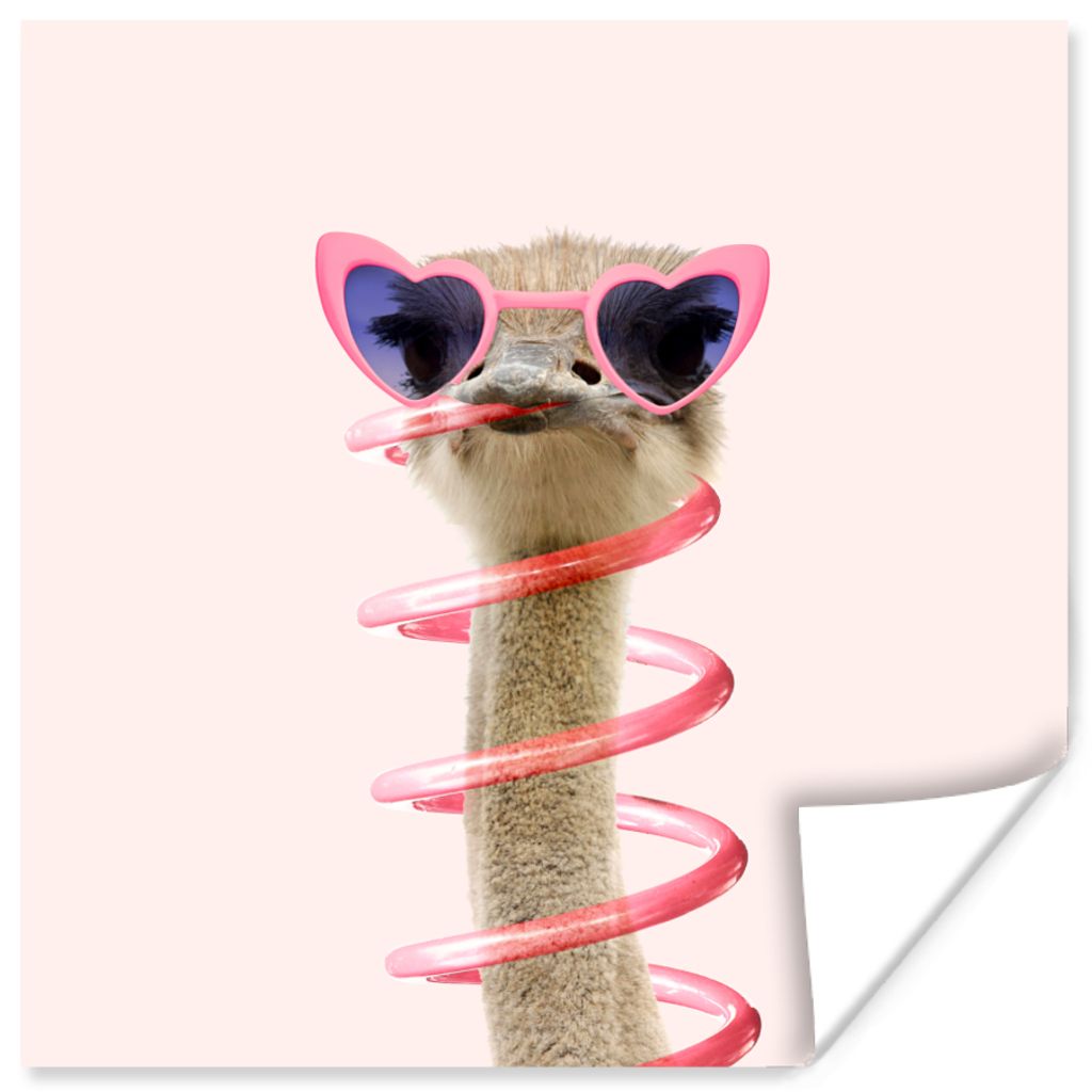 MuchoWow Poster Strauß - Sonnenbrille - Rosa - Tiere 50x50 cm - Wohnzimmerdekoration