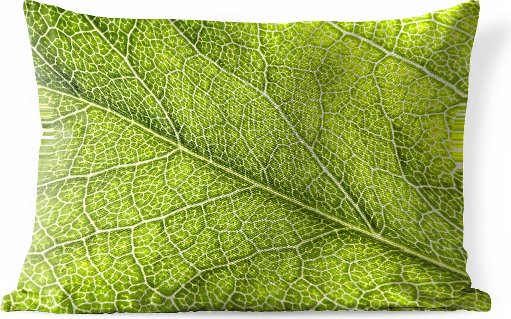 MuchoWow Outdoor Kissen - Grüne Inseln im Adersystem - 50x30 cm - Wetterfest - Lounge Kissen - Sofa kissen - Wohnzimmer Dekoration