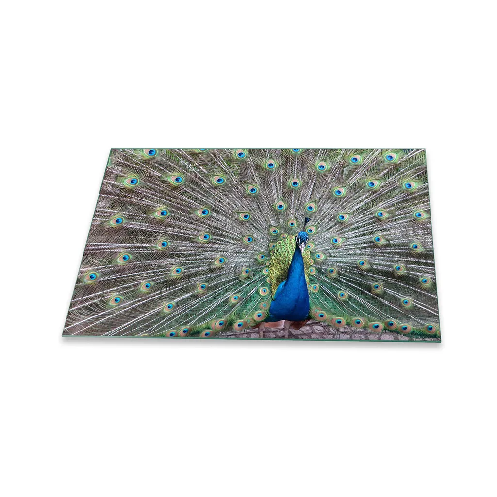 Protezione Piano Cottura Bambini 80x52 | Vetro Uccello Blu Sicuro