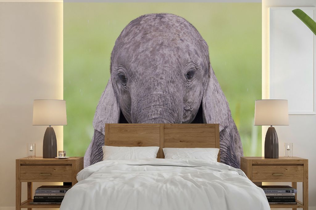 MuchoWow Fototapete für Wohnzimmer oder Schlafzimmer Wandtapete Vinyl Motivtapete Porträt eines Elefantenbabys - 350x350 cm - Schlafzimmertapete