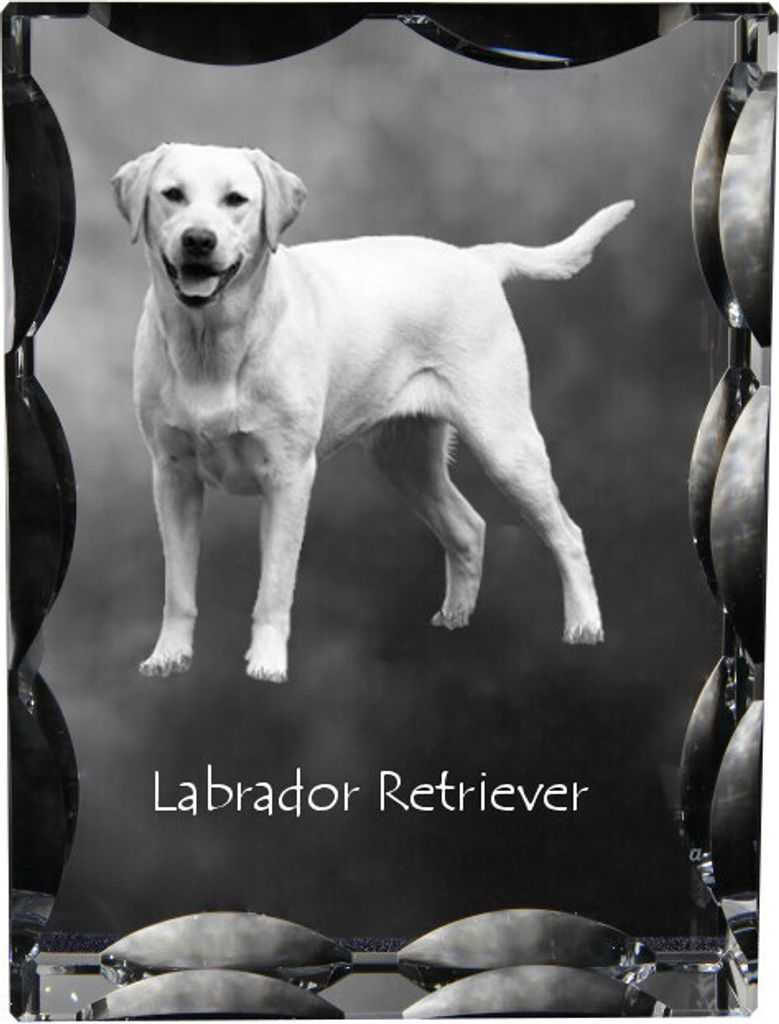 Labrador Retriever I - Kristall mit einem Hundebild, Glasstatuette mit einem Bild, einzigartiger Bilderrahmen der Marke Art-Dog