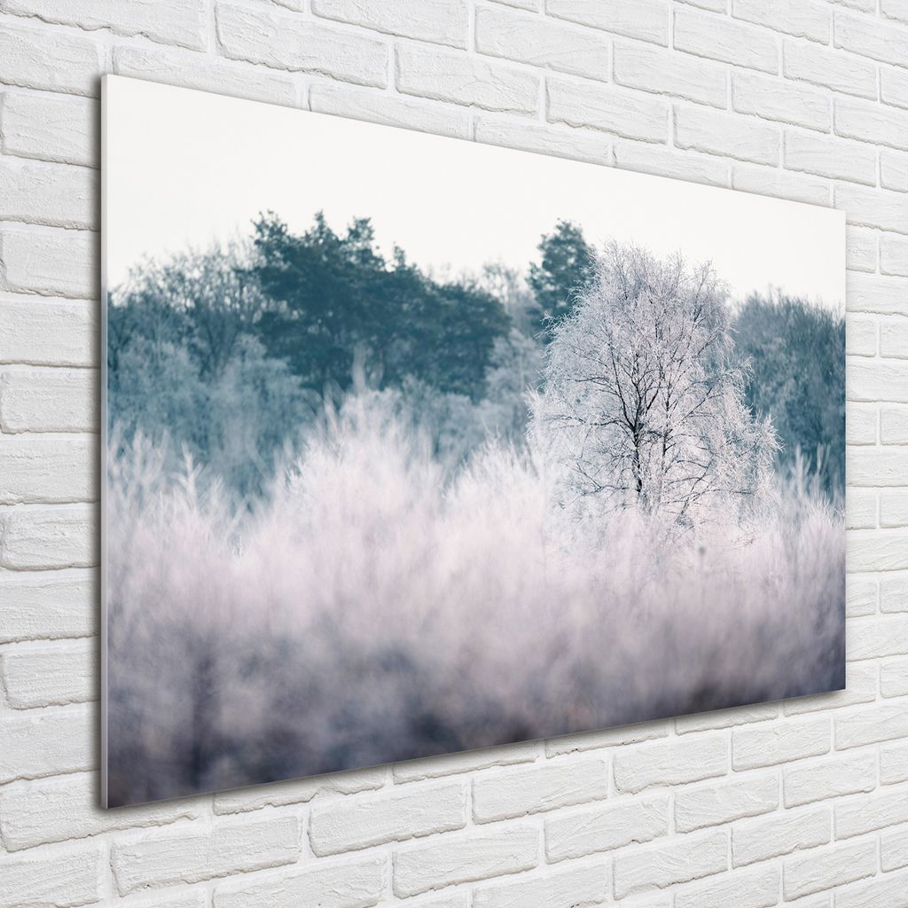 Tulup Glas-Bild - 100 x 70 - Wandbild aus Glas - Wandkunst - Wandbild hinter gehärtetem Sicherheitsglas - Landschaften - Winter Bäume - Grau