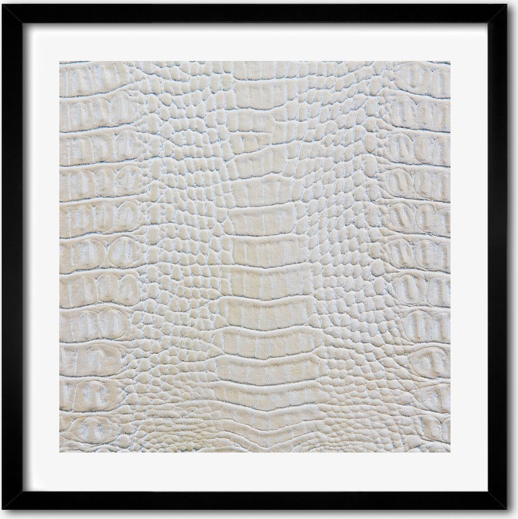 Bild - 50 cm x 50 cm - MDF - Rahmen, Wandkunst - Krokodilleder