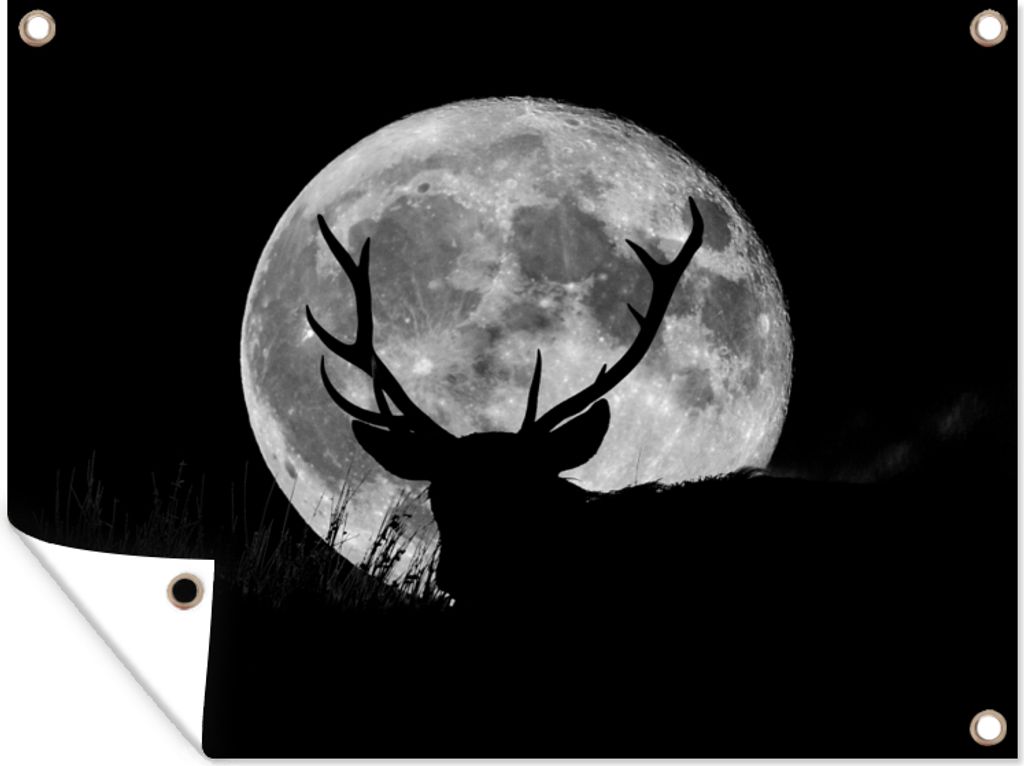 MuchoWow 40x30 cm Outdoor-Poster Gartendeko Sichtschutz Garten Poster für den Garten Hirsch - Mond - Nacht