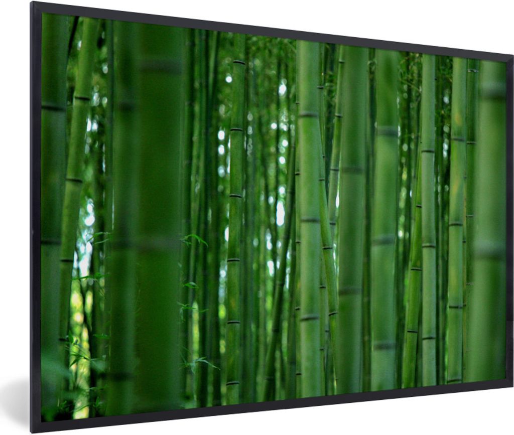 MuchoWow Gerahmtes Poster Arashiyama-Bambuswald aus der Nähe 30x20 cm - Poster mit Schwarzem Bilderrahmen Wandposter Rahmen Foto Bilder - Kunstd...