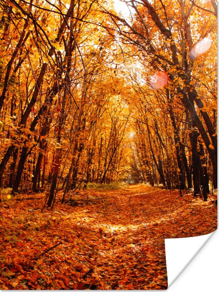 MuchoWow Poster Herbst - Wald - Laub - Jahreszeiten 60x80 cm - Schlafzimmer Dekoration