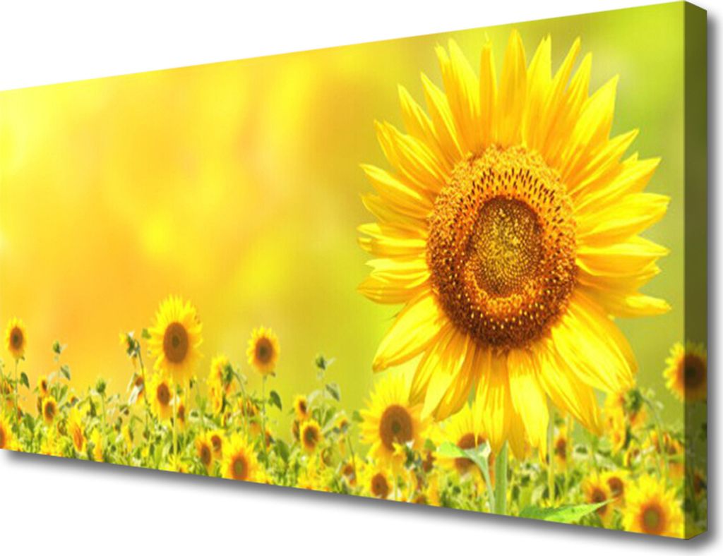 Tulup Leinwand-Bilder 100x50 Wandbild Canvas Kunstdruck Sonnenblumen Pflanzen