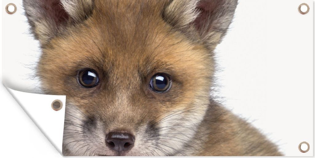 MuchoWow 160x80 cm Outdoor-Poster Gartendeko Sichtschutz Garten Poster für den Garten Fuchs - Tiere - Jungtier - Jungen - Mädchen - Kind
