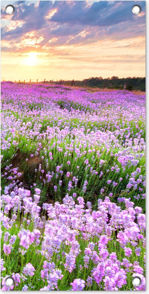 MuchoWow 30x60 cm Outdoor-Poster Gartendeko Sichtschutz Garten Poster für den Garten Lavendel - Blumen - Sonnenuntergang - Lila - Wiese