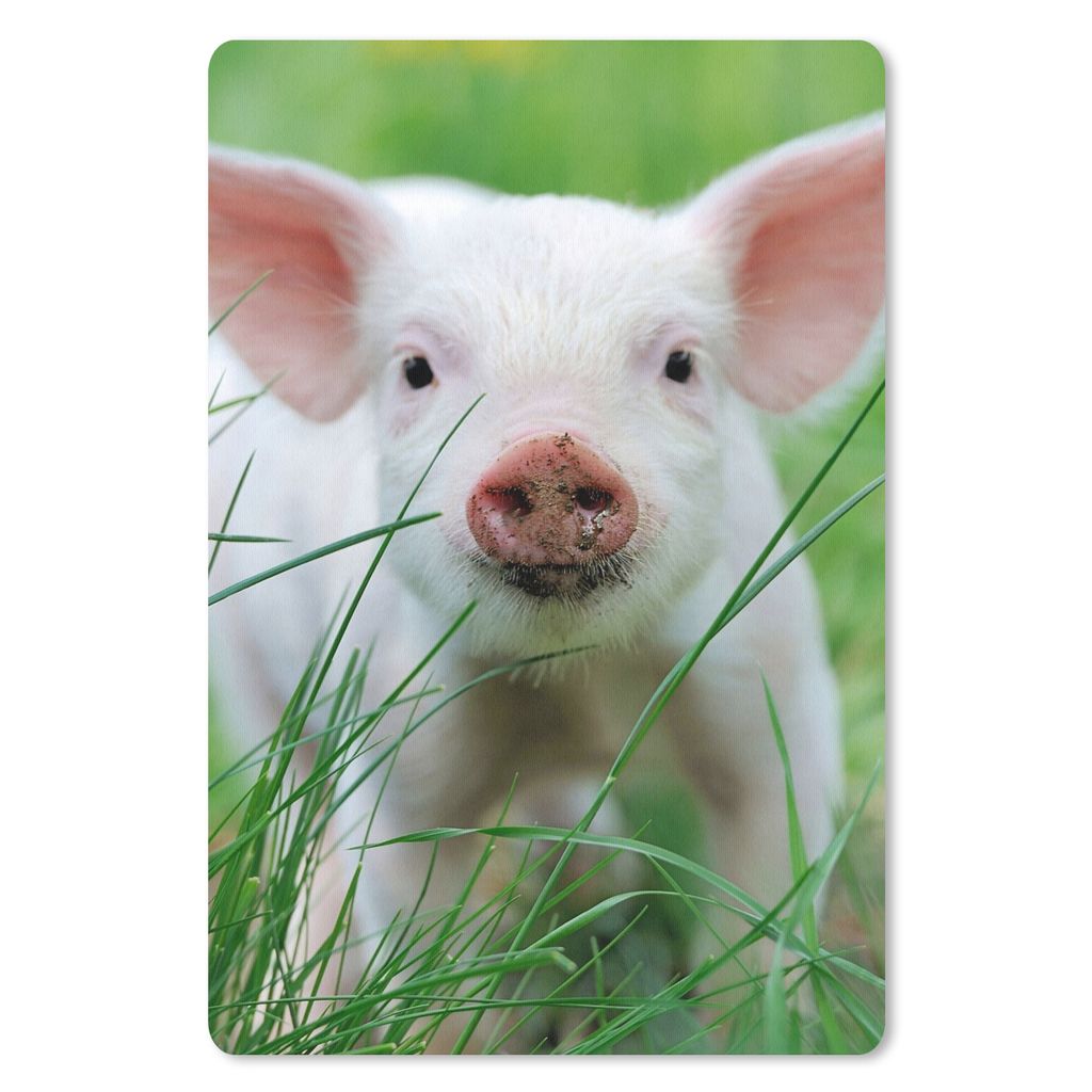 MuchoWow Mauspad Mousepad Schwein - Tiere - Groß 40x60 cm - Mousepads - Maus Mat - Pad - Mausunterlage - Schreibtisch Accesoire