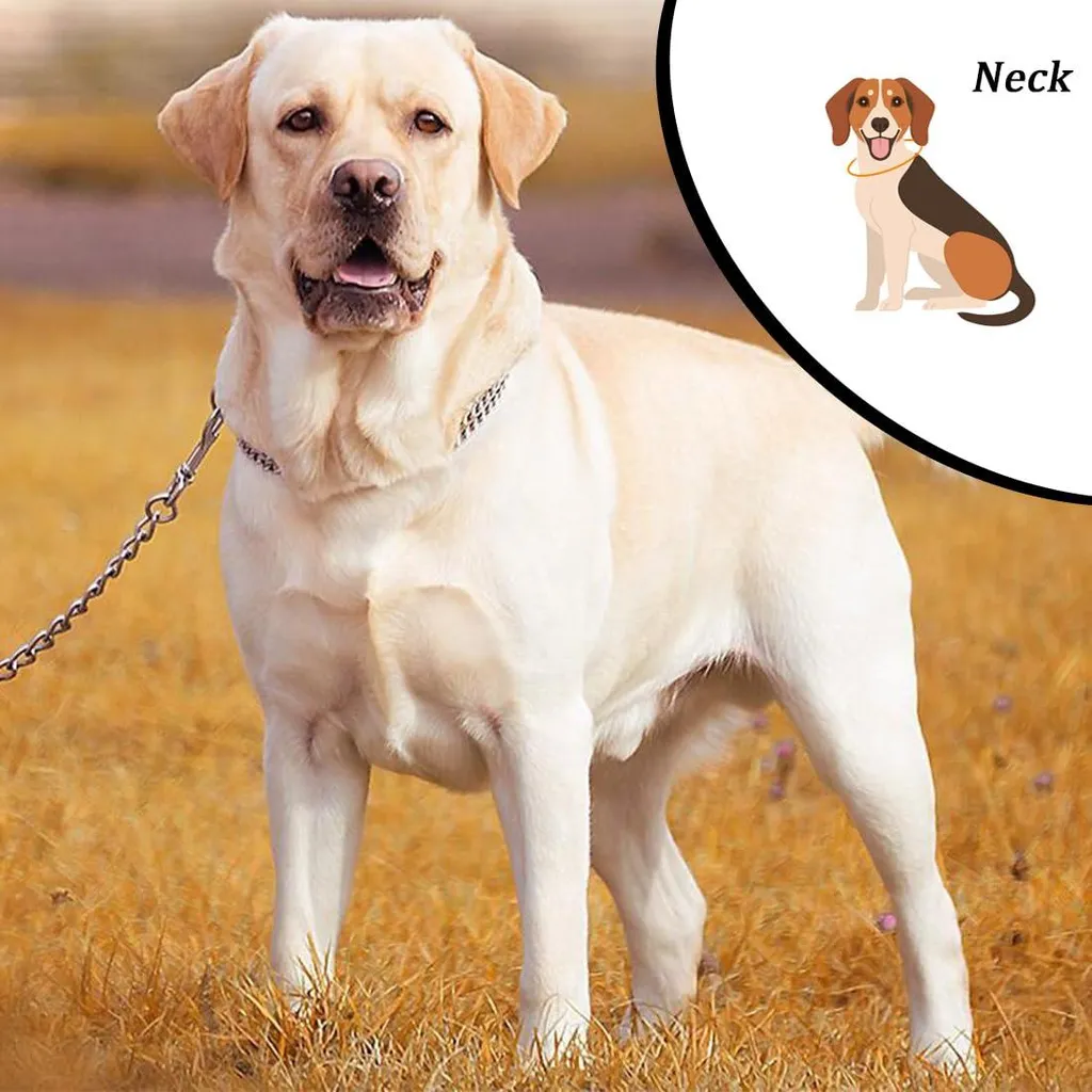 Collier d'entraînement pour chien robuste avec boucle confort réglable
