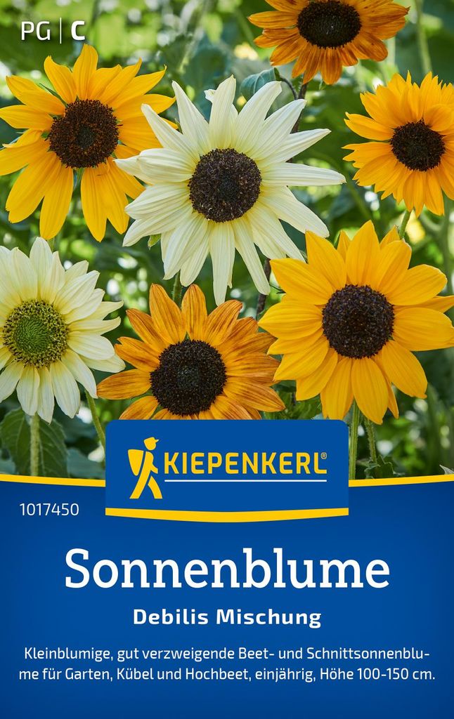 Kiepenkerl Sonnenblumensamen Debilis 50 Pflanzen Produktbild 