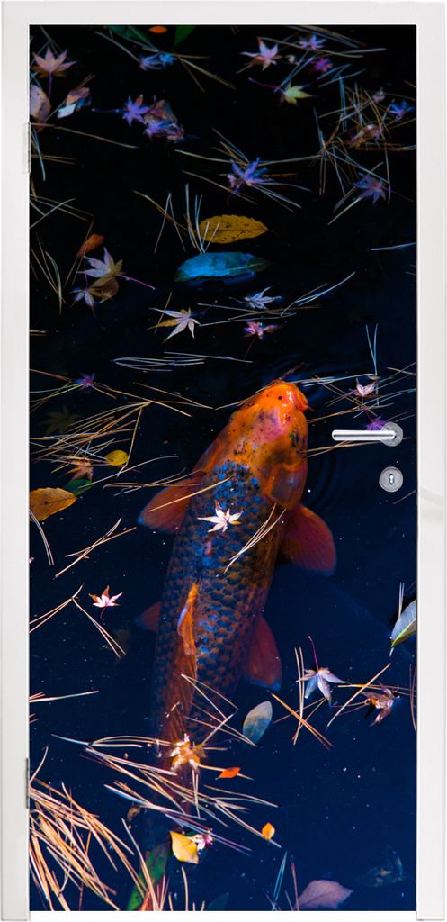 MuchoWow Türtapete Selbstklebende Türfolie Ein farbiger Koi-Karpfen in einem Teich 85x215 cm Türposter Türaufkleber Klebefolie Türklebefolie...