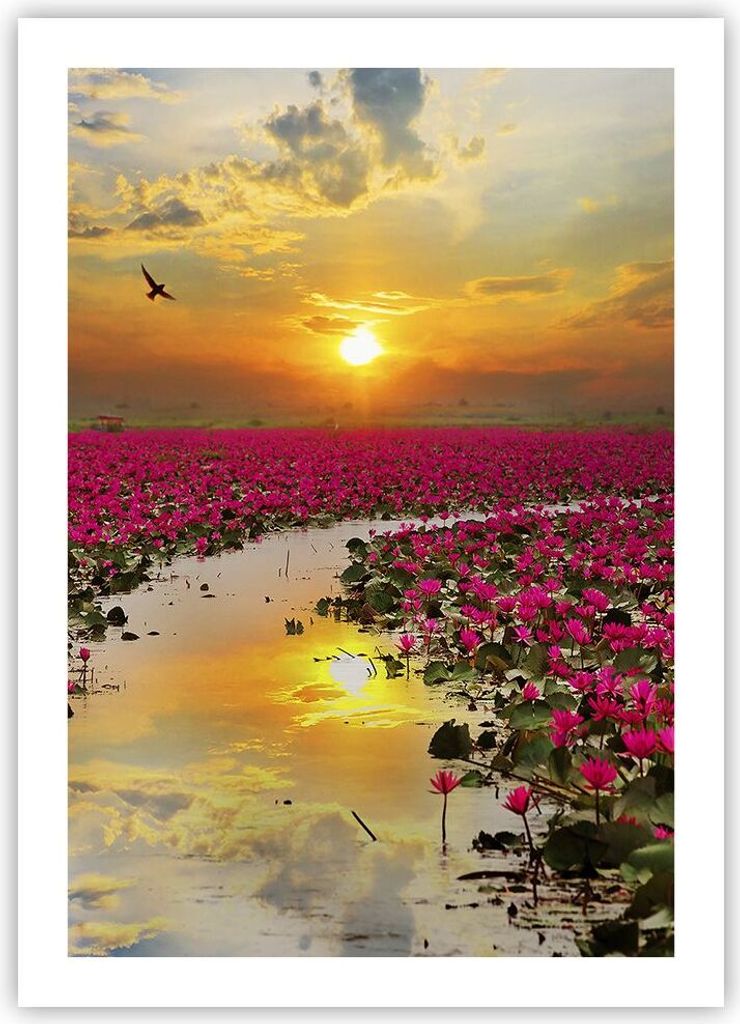 Poster - Poster ohne Rahmen - See Blumen - 50x70 cm - Wand Bild - Wanddeko - Wandbilder - Kunstposter - Wandposter - Bilder - Kunstdruck - Wanddeko...