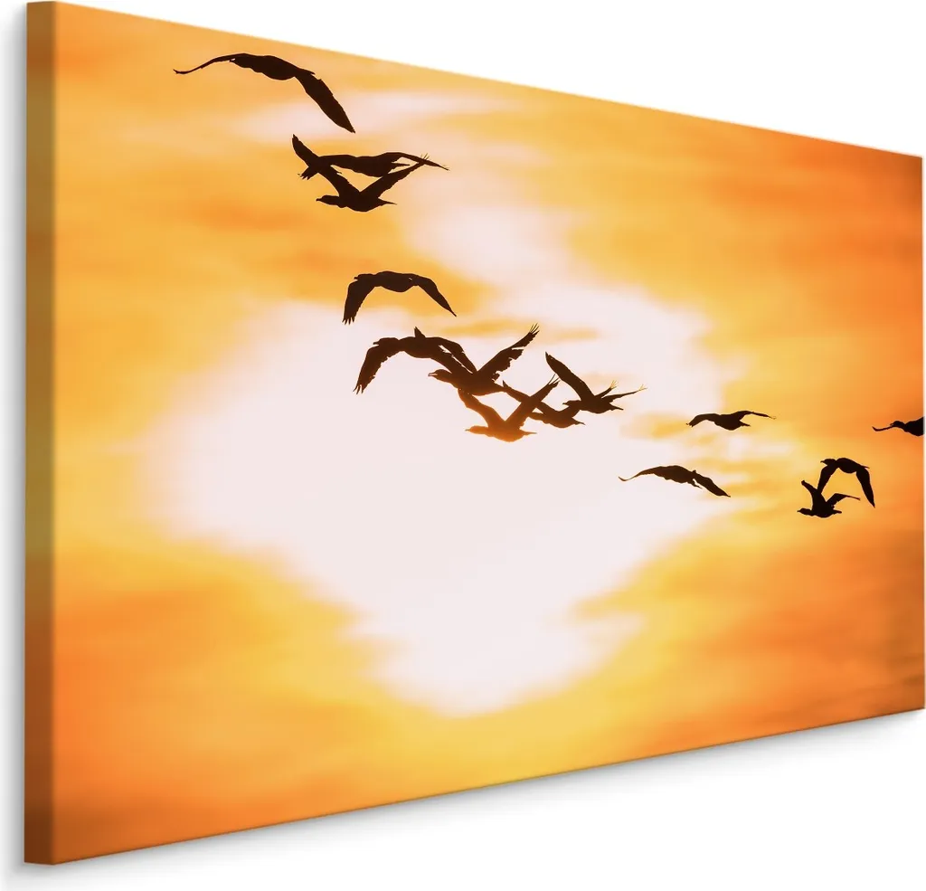 Tela 90x60 XXL Stampa Fine Art Uccelli - Gabbiani Alta Definizione