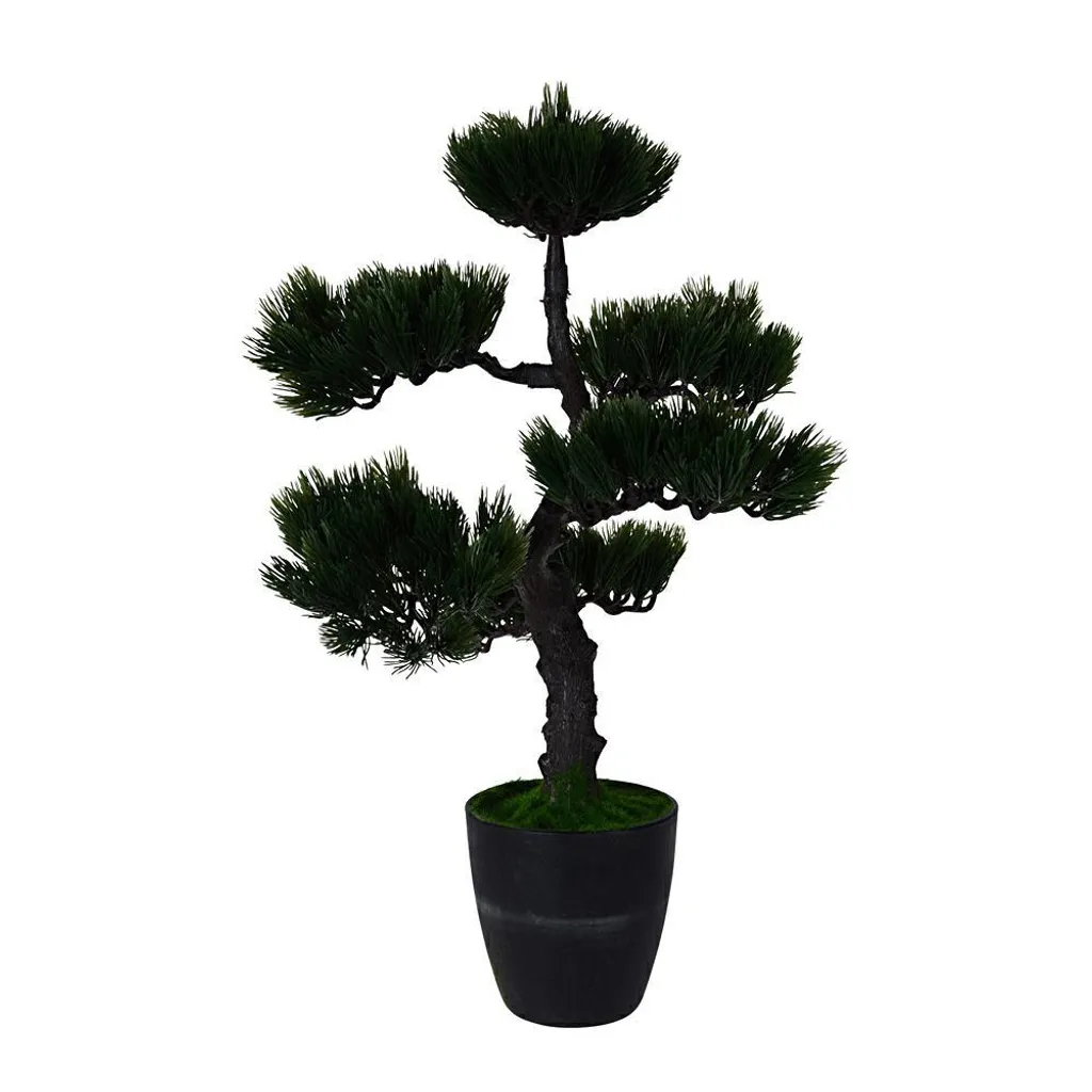Albero bonsai progarden in vaso da fiori verde nero nero 50 cm