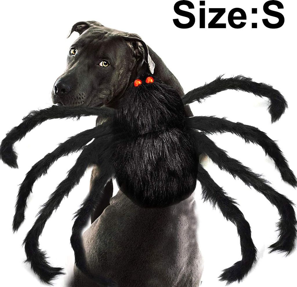 Haustierkostüm Spinne Halloween Haustier Cosplay Hunde Produktbild 