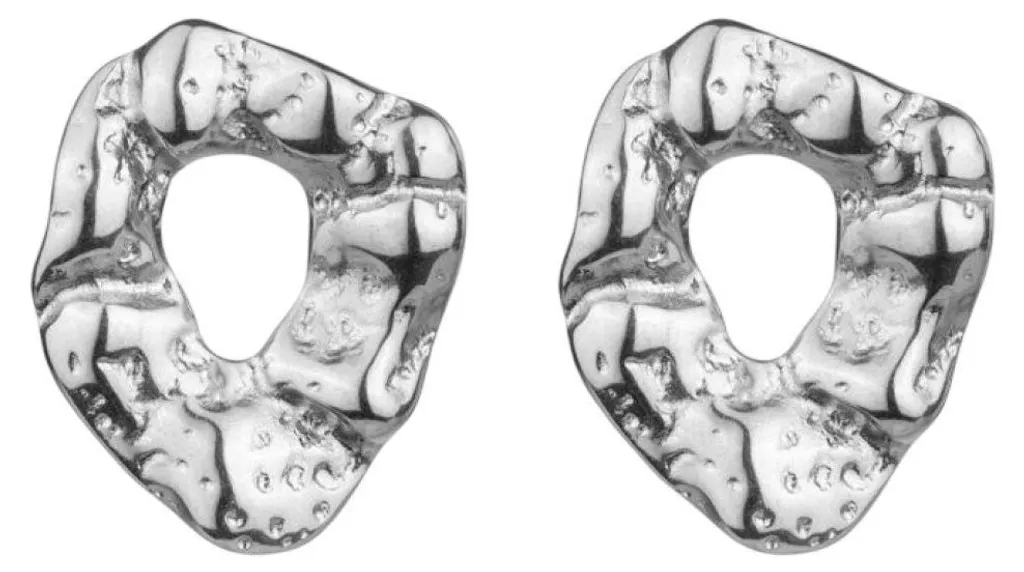 Boucles d'oreilles Haisley Silver pour soirée et quotidien Acier - 2