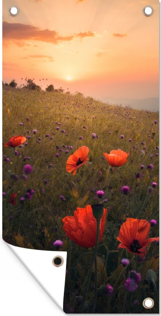 MuchoWow 40x80 cm Outdoor-Poster Gartendeko Sichtschutz Garten Poster für den Garten Blumenfeld - Gras - Pflanzen - Sonnenuntergang - Orange