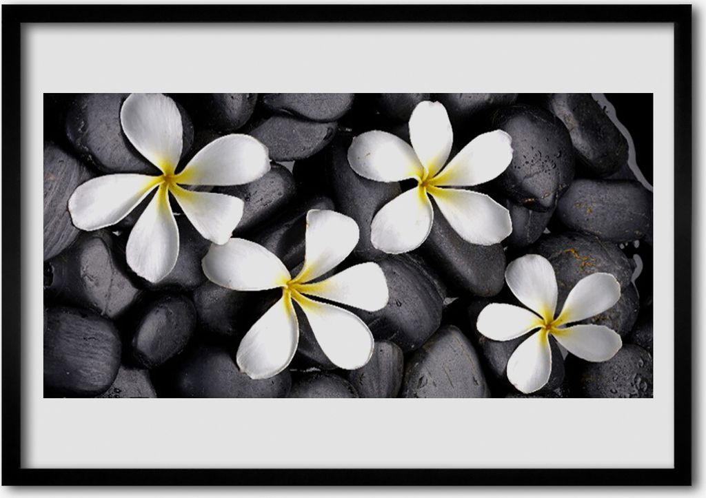 Bild 70x50 MDF-Rahmen Wandkunst Blumen Pflanzen Natur