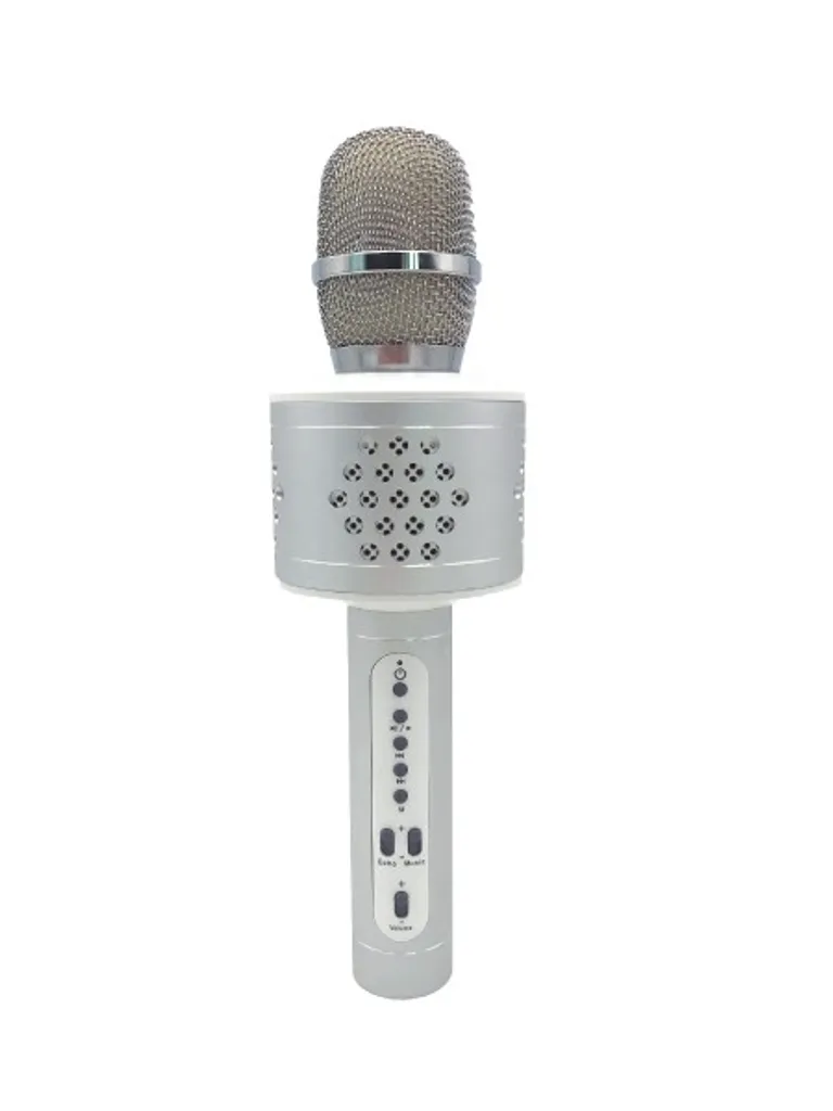 Micro Karaoké Sans Fil Argenté : Enceinte Bluetooth et Micro Intégré