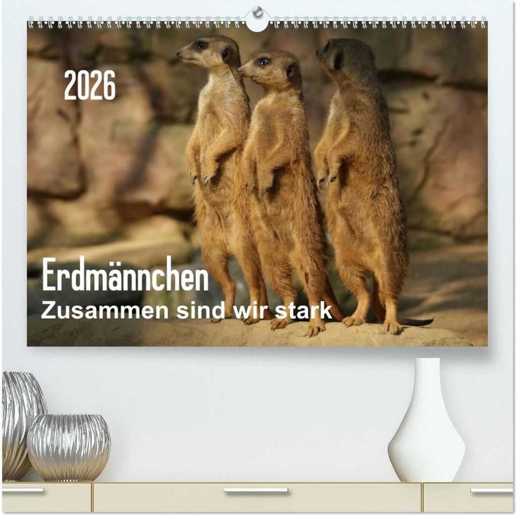 Erdmännchen – Zusammen sind wir stark / CH-Version (hochwertiger Premium Wandkalender 2026 DIN A2 quer), Kunstdruck in Hochglanz