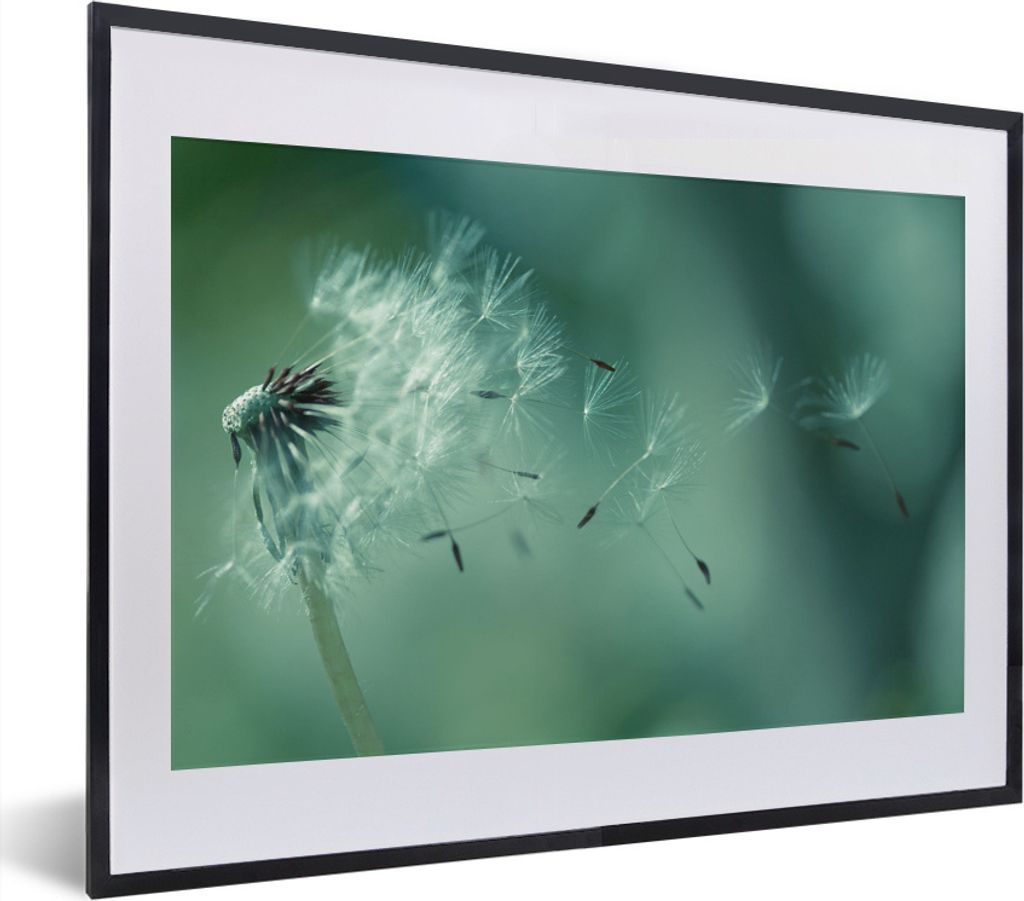 MuchoWow® MuchoWow® Gerahmtes Poster Saatgut - Löwenzahn - Produktbild 