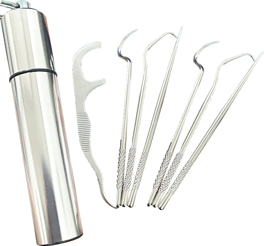 1 Set Zahnstocher umweltfreundlich rostfreie Edelstahl-Zahnstocher mit Aufbewahrungsbox für Zuhause-Silber