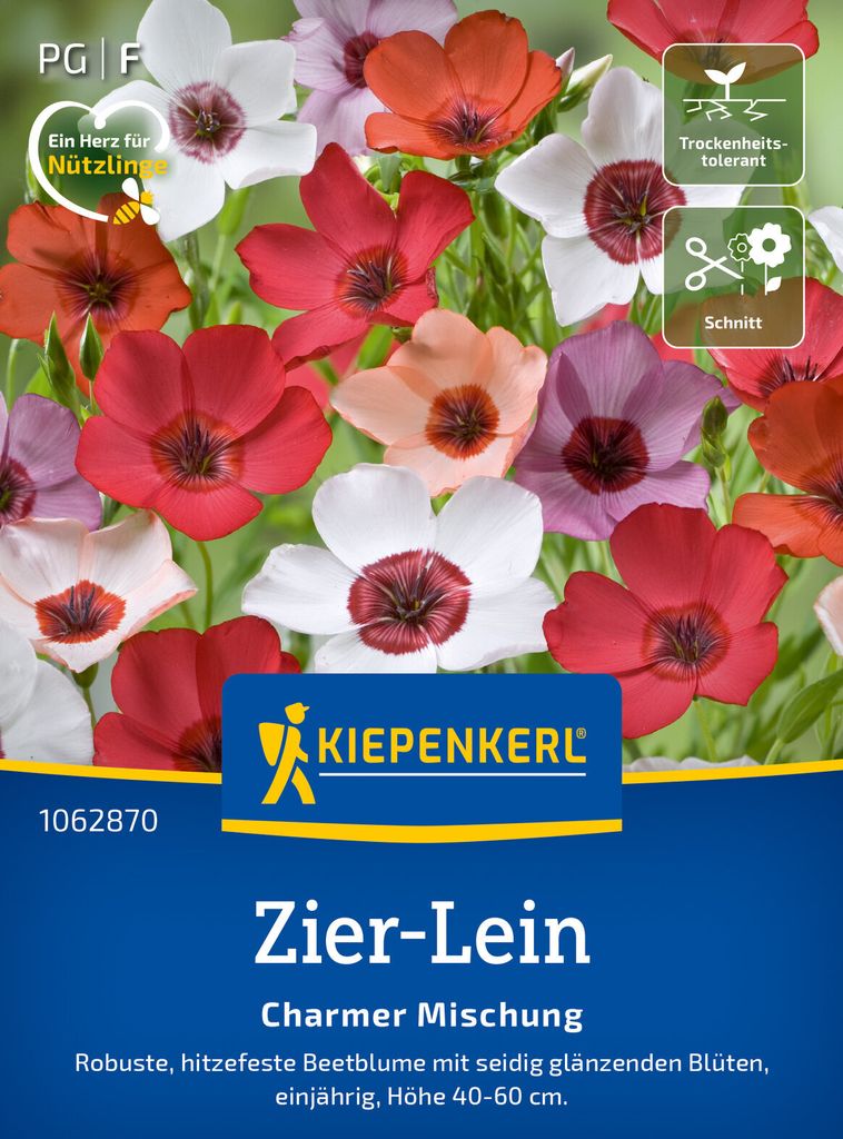 Kiepenkerl Zier-Leinsamen Charmer Linum grandiflorum 60 Pflanzen